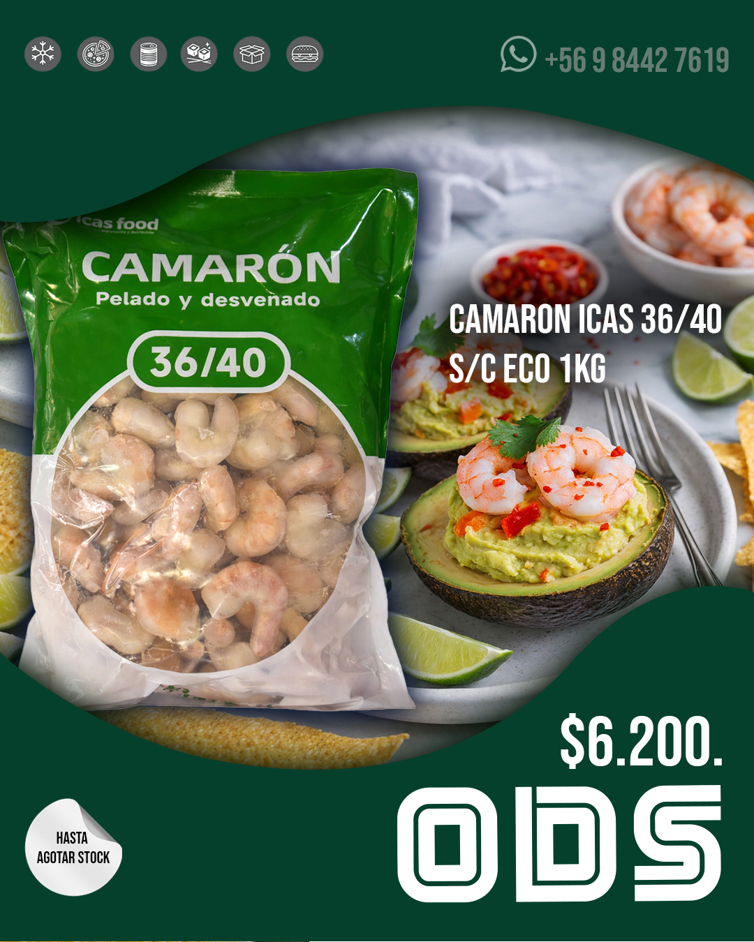 CAMARON ICAS 36/40